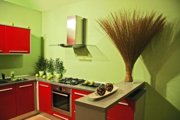 На фото: кухня с покрашенными стенами