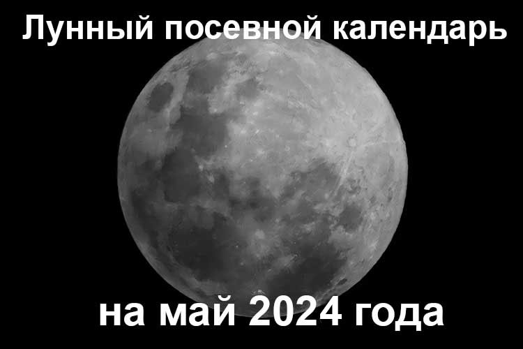 Лунный календарь садовода и огородника на май 2024 года