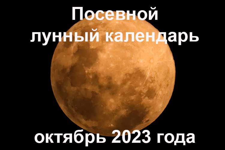 Лунный календарь садовода и огородника на октябрь 2023 года