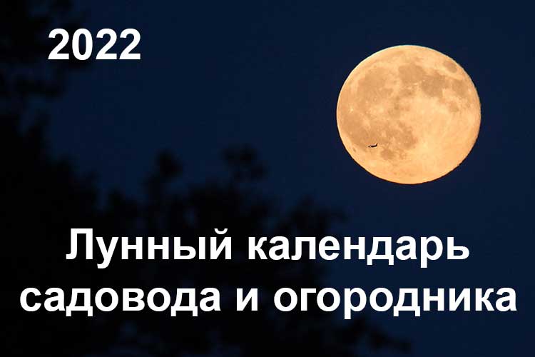 Лунный календарь садовода, огородника, цветовода на 2022 год