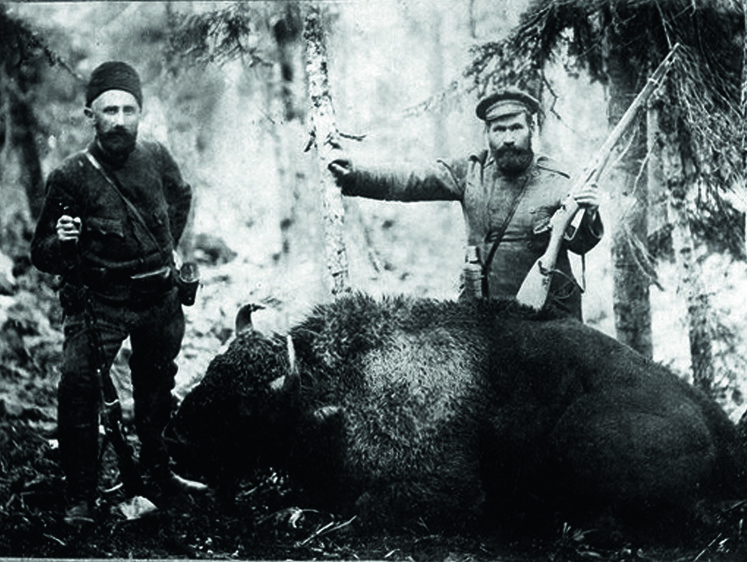 Настоящий лесник. Большая история зубра в России и Европе