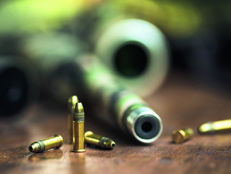 От .22 LR до .17 HMR. Перспективы развития оружия